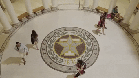 TAMUScience giphyupload science college students GIF