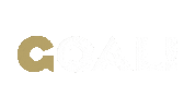 West Virginia Goal Sticker by Wheeling Nailers