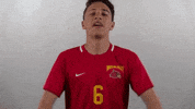 WJUCardinals wheeling university wheeling soccer wheeling msoc GIF