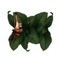 Valentino Orangutan Sticker