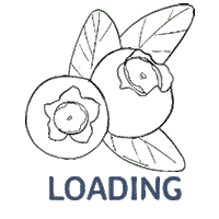 Loading Blueberries Sticker by Cascina Blu