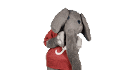 Crimson Tide Ua Sticker by The University of Alabama