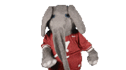 Alabama Football Sticker by The University of Alabama