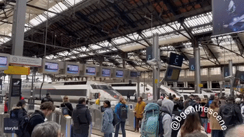 Travelers Face Delays at Paris Train Station During Protests
