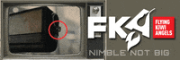 FlyingKiwiAngels another fka friday fka news GIF