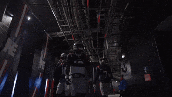 Jacoby Brissett Football GIF by New England Patriots