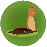 Sürdürülebilirlik Sticker by Anadolu Grubu