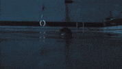 Music Video Swimming GIF by iamnotshane