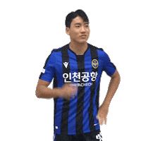 Ear Sticker by Incheon United FC