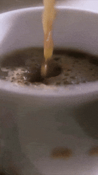 Caffeine Morning Coffee GIF by Berk's Beans Coffee