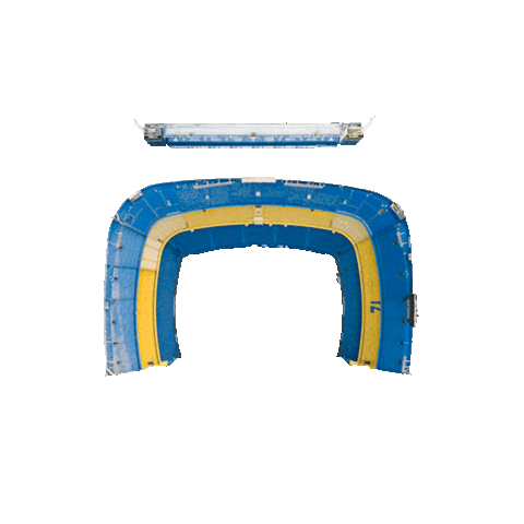 Bocajrsoficial Sticker by Boca Juniors