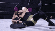 the great george squeeze GIF by SHWA Wrestling