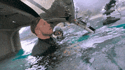 Blac Chyna Help GIF by Reality Club FOX