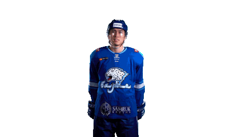 Hockey Kazakhstan Sticker by barys_official