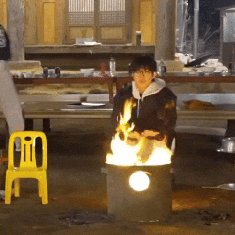 Life 세븐틴 GIF