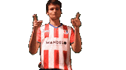 Yourdreamsarenow Theclassof2019 Sticker by De Kaascoman
