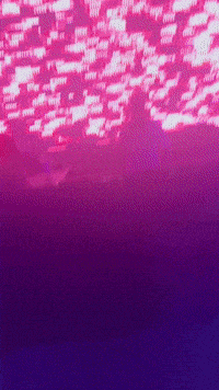 Summer Dancing GIF by OWLY
