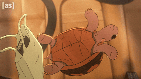 Animation Omg GIF by Adult Swim