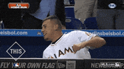 mia GIF by MLB