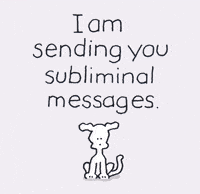 I Love You Dogs GIF by Chippy the Dog