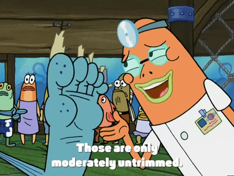 new leaf episode 13 GIF by SpongeBob SquarePants