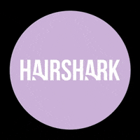 Big Hair GIF by Hairsharkuk