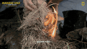 Nat Geo Success GIF by National Geographic Channel