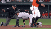 Jomboy  GIF