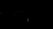 Black And White Hand GIF by Sub Pop Records
