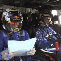 Heavy Landing GIF by FIA World Rally Championship