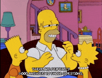 homer simpson GIF