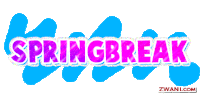 spring break Sticker