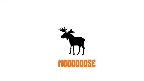 bigmoosecharity giphygifmaker moose bigmoose bigmoosecharity GIF