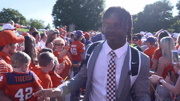 Accfootball GIF by The ACC