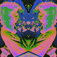 dj the lot radio GIF by Njorg