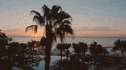 GIF by Switzerfilm