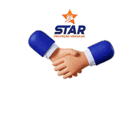 Protecao Protecaoveicular Sticker by Star Associação