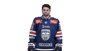 Celebration Goal Sticker by Fehervar AV19