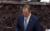 news senate impeachment trial impeachment trial adam schiff GIF