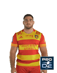 Pro D2 Sticker by Ligue Nationale de Rugby