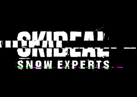 skideal giphygifmaker skideal GIF