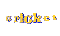 cricket Sticker
