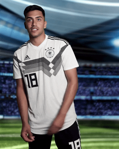 sportschau sticker germany uefa deutschland GIF
