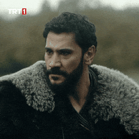 Come On What GIF by TRT