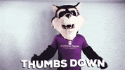 Sbuniv GIF by Southwest Baptist University
