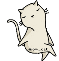 offwhitecat cat gato miau gatinho Sticker