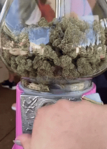 Weed Gas GIF by Kushy Dreams