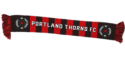 support scarf Sticker by National Women's Soccer League
