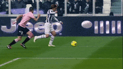 Andrea Pirlo Juve GIF by JuventusFC