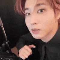Stray Kids Skz GIF